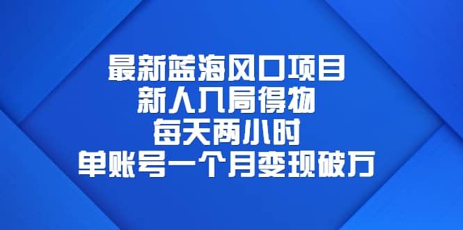 最新蓝海风口项目，新人入局得物，每天两小时，单账号一个月变现破万