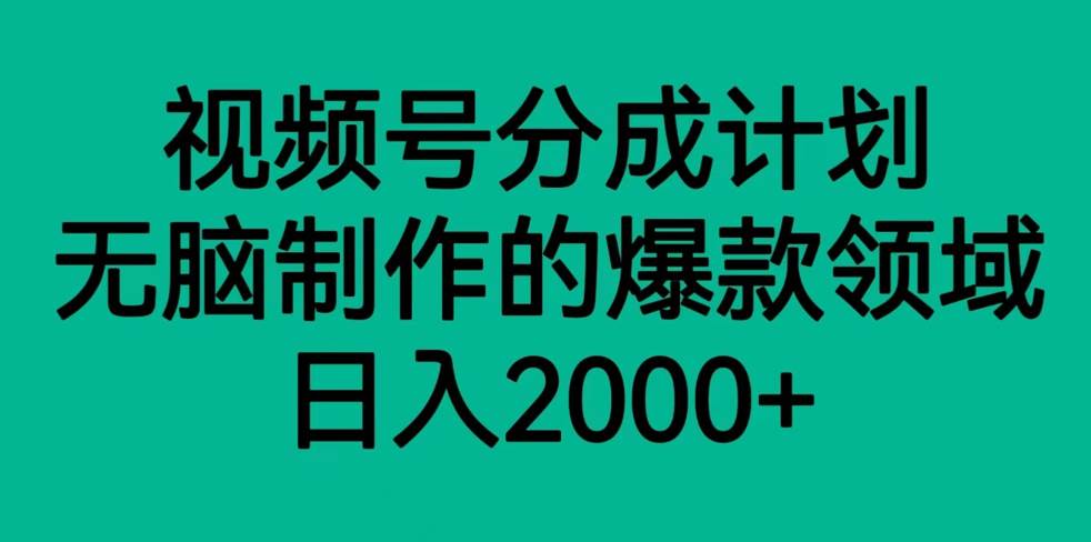 视频号分成计划，轻松无脑制作的爆款领域，日入2000