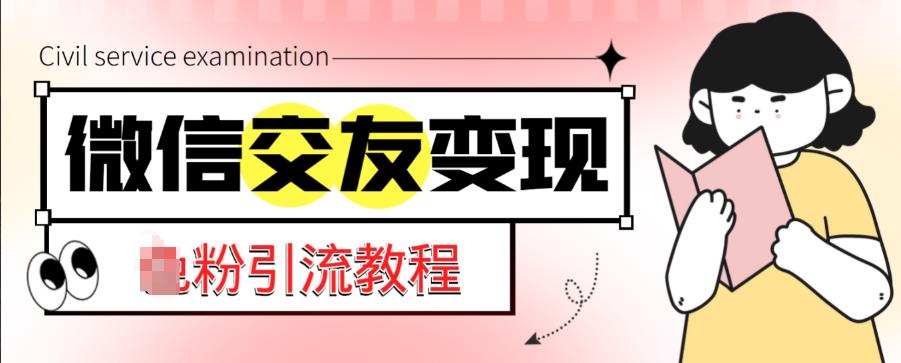 微信交友变现项目，吸引全网LSP男粉精准变现，小白也能轻松上手，日入500