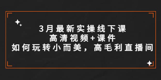 3月最新实操线下课高清视频 课件，如何玩转小而美，高毛利直播间