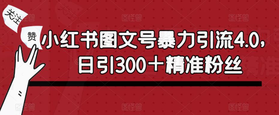 小红书图文号暴力引流4.0，日引300＋精准粉丝【揭秘】