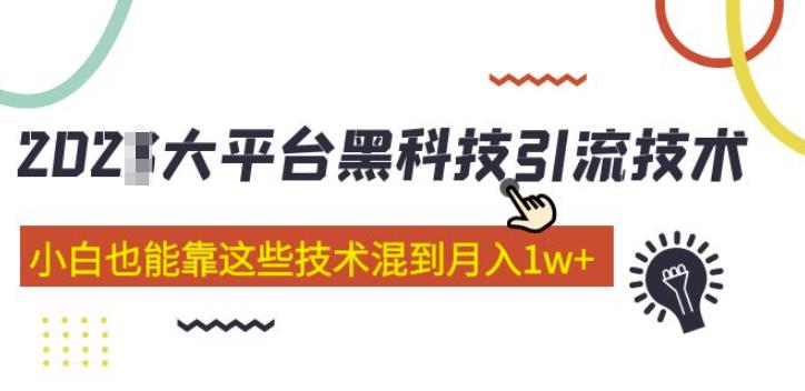 大平台黑科技引流技术，小白也能靠这些技术混到月入1w (2022年的课程）