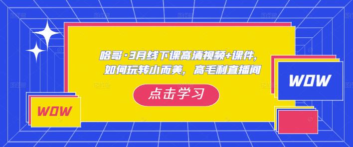 哈哥·3月线下实操课高清视频 课件，如何玩转小而美，高毛利直播间