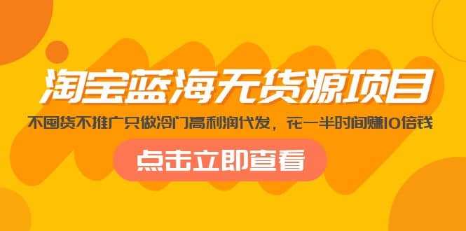 淘宝蓝海无货源项目，不囤货不推广只做冷门高利润代发