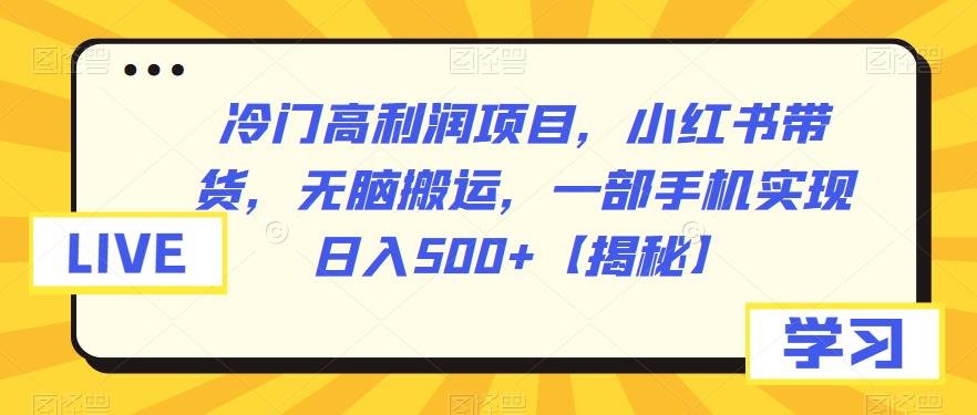 冷门高利润项目，小红书带货，无脑搬运，一部手机实现日入500 【揭秘】