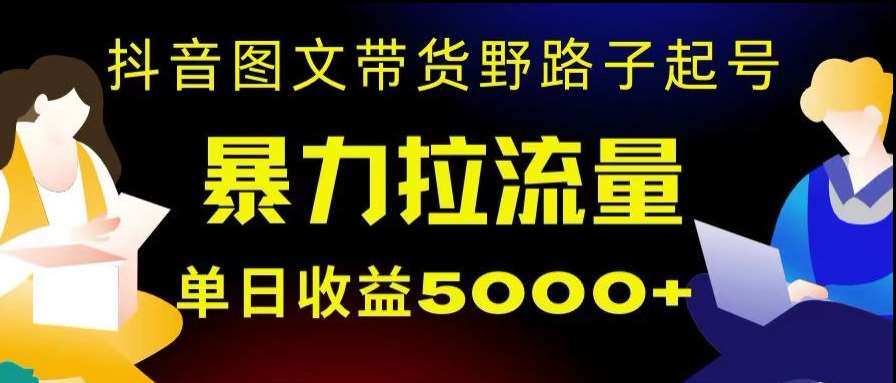 抖音图文带货暴力起号，单日收益5000 ，野路子玩法，简单易上手，一部手机即可【揭秘】