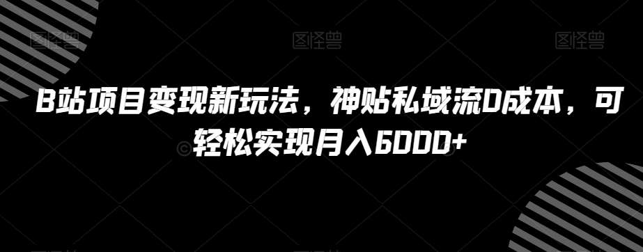 B站项目变现新玩法，神贴私域流0成本，可轻松实现月入6000 【揭秘】