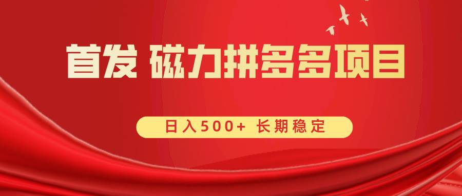 （8611期）首发 磁力拼多多自撸  日入500