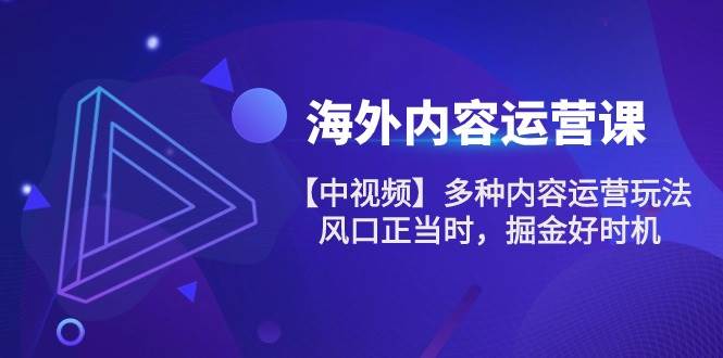 （10833期）海外内容 运营课【中视频】多种内容运营玩法 风口正当时 掘金好时机-101节