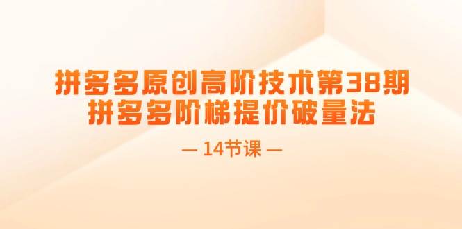 （11704期）拼多多原创高阶技术第38期，拼多多阶梯提价破量法（14节课）