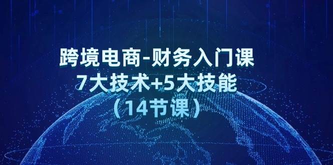 （12047期）跨境电商-财务入门课：7大技术+5大技能（14节课）