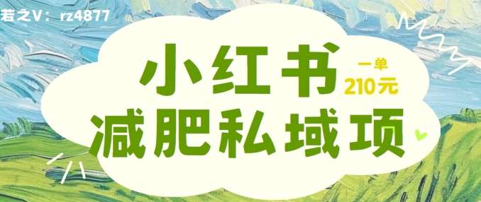 小红书减肥粉，私域变现项目，一单就达210元，小白也能轻松上手【揭秘】