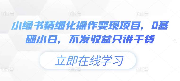 小绿书精细化操作变现项目，0基础小白，不发收益只讲干货