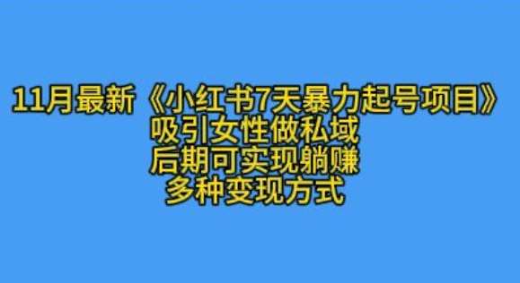 K总部落11月最新小红书7天暴力起号项目，吸引女性做私域【揭秘】