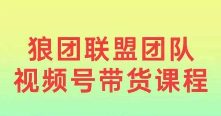 狼团联盟2024视频号带货，0基础小白快速入局视频号