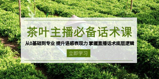 （13961期）茶叶 主播必备话术课 从0基础到专业 提升语感表现力 掌握直播话术底层逻辑