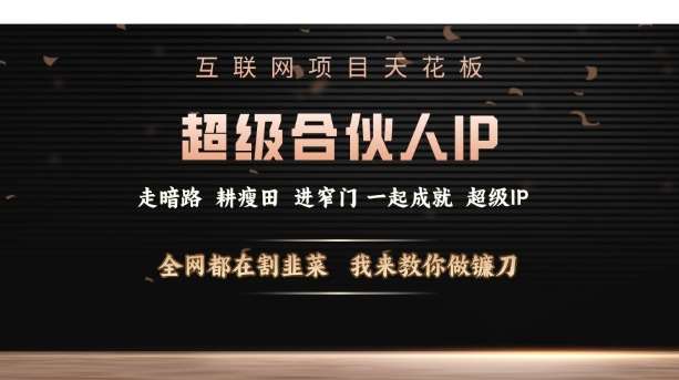 互联网项目天花板，超级合伙人IP，全网都在割韭菜，我来教你做镰刀【仅揭秘】