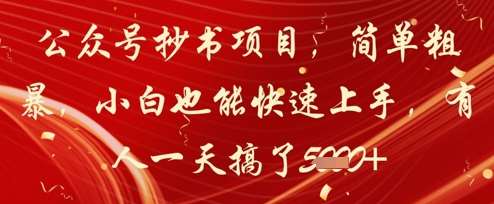 公众号抄书项目，简单粗暴，小白也能快速上手，有人一天搞了1k+