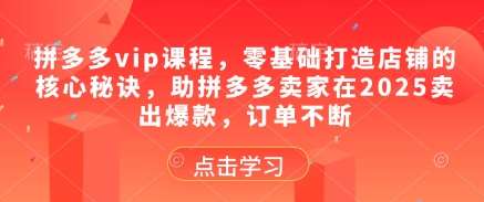 拼多多vip课程，零基础打造店铺的核心秘诀，助拼多多卖家在2025卖出爆款，订单不断