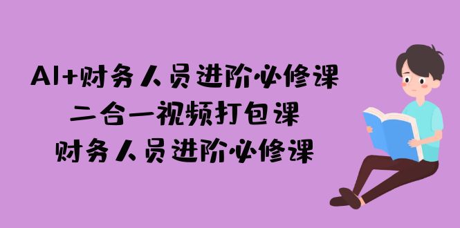AI   财务人员进阶必修课二合一视频打包课，财务人员进阶必修课