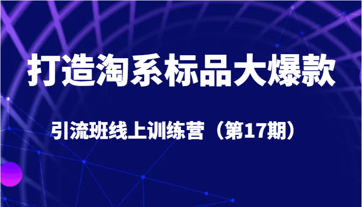 打造淘系标品大爆款引流班线上训练营（第17期）5天直播授课 1个月答疑