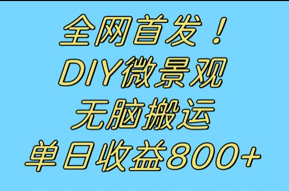 全网首发冷门赛道！DIY微景观，无脑搬运视频，日收益800 